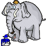 elefant6