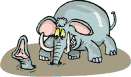 elefant7